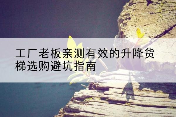 图们升降货梯怎么选-工厂老板亲测有效的升降货梯选购避坑指南