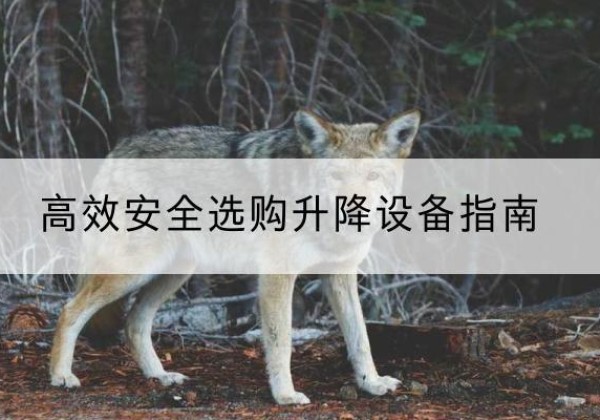 图们升降货梯厂家推荐-*安全选购升降设备指南
