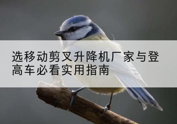 图们电动升降机厂家-选移动剪叉升降机厂家与登高车必看实用指南