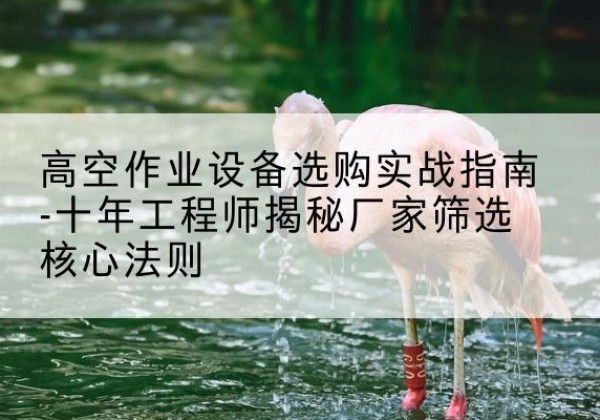 图们剪叉式升降机厂家-高空作业设备选购实战指南-十年工程师揭秘厂家筛选核心法则